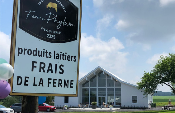 Ferme Phylum